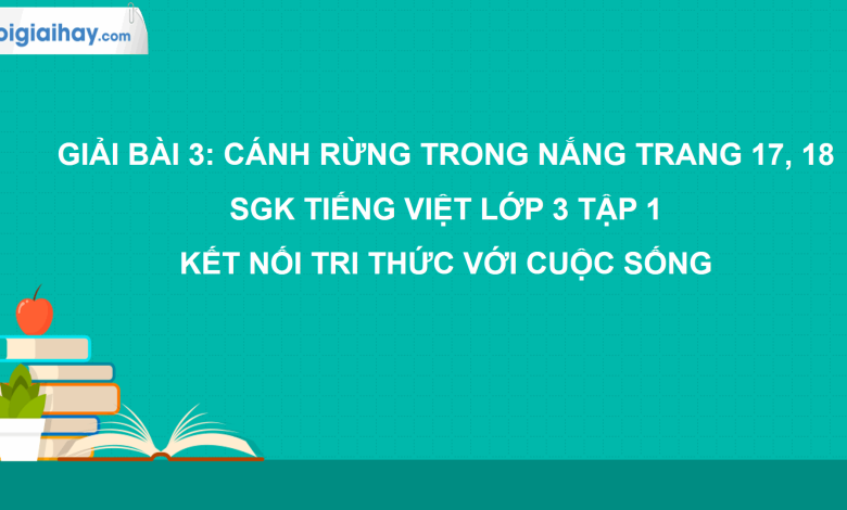 Bài 3: Cánh rừng trong nắng trang 17, 18 SGK Tiếng Việt lớp 3 tập 1 Kết nối tri thức với cuộc sống>