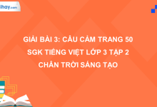 Bài 3: Câu cảm trang 50 SGK Tiếng Việt 3 tập 2 Chân trời sáng tạo>