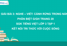 Bài 3: Nghe - viết: Cánh rừng trong nắng trang 20 SGK Tiếng Việt lớp 3 tập 1 Kết nối tri thức với cuộc sống>