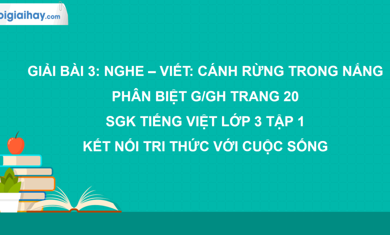 Bài 3: Nghe - viết: Cánh rừng trong nắng trang 20 SGK Tiếng Việt lớp 3 tập 1 Kết nối tri thức với cuộc sống>