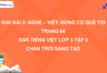 Bài 3: Nghe - viết: Rừng cọ quê tôi trang 64 SGK Tiếng Việt 3 tập 2 Chân trời sáng tạo>