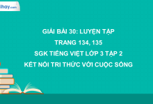 Bài 30: Luyện tập trang 134, 135 SGK Tiếng Việt lớp 3 tập 2 Kết nối tri thức với cuộc sống>