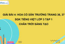 Bài 4: Hoa cỏ sân trường trang 36, 37 SGK Tiếng Việt 3 tập 1 Chân trời sáng tạo>