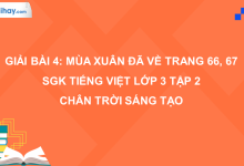 Bài 4: Mùa xuân đã về trang 66, 67 SGK Tiếng Việt 3 tập 2 Chân trời sáng tạo>