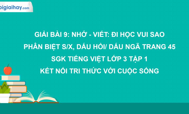 Bài 9: Nhớ - viết: Đi học vui sao trang 45 SGK Tiếng Việt 3 tập 1 Kết nối tri thức với cuộc sống>