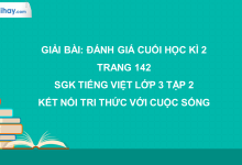 Bài: Đánh giá cuối học kì 2 trang 142 SGK Tiếng Việt lớp 3 tập 2 Kết nối tri thức với cuộc sống>