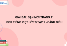 Bạn mới trang 11 SGK Tiếng Việt 3 tập 1 Cánh diều>
