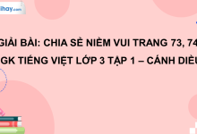 Chia sẻ niềm vui trang 73, 74 SGK Tiếng Việt 3 tập 1 Cánh diều>