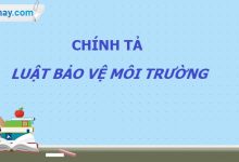 Chính tả: Luật bảo vệ môi trường trang 104 SGK Tiếng Việt 5 tập 1>