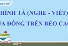 Chính tả: Mùa đông trên rẻo cao trang 165 SGK Tiếng Việt 4 tập 1>