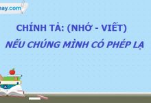 Chính tả: Nếu chúng mình có phép lạ trang 105 SGK Tiếng Việt 4 tập 1>