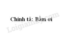 Chính tả bài Bầm ơi trang 137 SGK Tiếng Việt 5 tập 2>