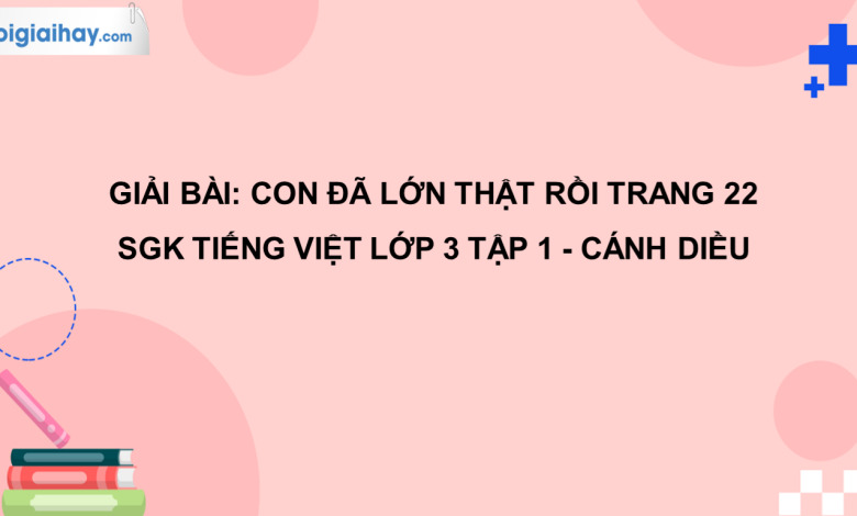 Con đã lớn thật rồi trang 22 SGK Tiếng Việt 3 tập 1 Cánh diều>