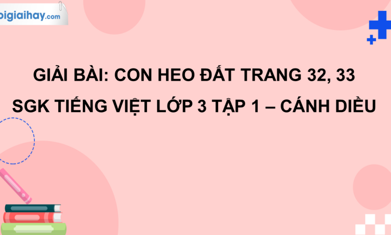 Con heo đất trang 32, 33 SGK Tiếng Việt 3 tập 1 Cánh diều>