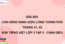 Con kênh xanh giữa lòng thành phố trang 41, 42 SGK Tiếng Việt 3 tập 2 Cánh diều>