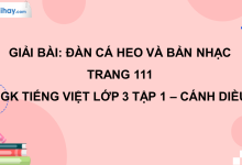 Đàn cá heo và bản nhạc trang 111 SGK Tiếng Việt 3 tập 1 Cánh diều>