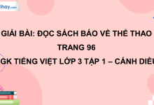 Đọc sách báo về thể thao trang 96 SGK Tiếng Việt 3 tập 1 Cánh diều>