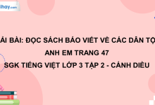 Đọc sách báo viết về các dân tộc anh em trang 47 SGK Tiếng Việt 3 tập 2 Cánh diều>