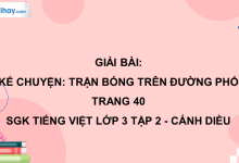 Kể chuyện: Trận bóng trên đường phố trang 40 SGK Tiếng Việt 3 tập 2 Cánh diều>