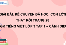 Kể chuyện đã học: Con đã lớn thật rồi trang 28 SGK Tiếng Việt 3 tập 1 Cánh diều>