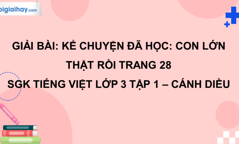 Kể chuyện đã học: Con đã lớn thật rồi trang 28 SGK Tiếng Việt 3 tập 1 Cánh diều>