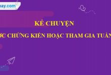 Kể chuyện được chứng kiến hoặc tham gia trang 88 SGK Tiếng Việt 4 tập 1 >