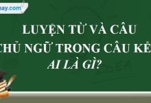 Luyện từ và câu: Chủ ngữ trong câu kể Ai là gì? trang 68 SGK Tiếng Việt 4 tập 2>