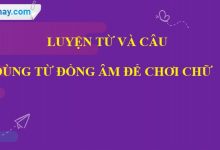 Luyện từ và câu: Dùng từ đồng âm để chơi chữ trang 61 SGK Tiếng Việt 5 tập 1>