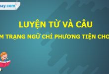 Luyện từ và câu: Thêm trạng ngữ chỉ phương  tiện cho câu trang 160 SGK Tiếng Việt tập 2>
