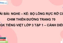 Nghe - kể: Bộ lông rực rỡ của chim thiên đường trang 70 SGK Tiếng Việt 3 tập 1 Cánh diều>