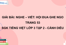 Nghe - viết: Hội đua ghe ngo trang 53 SGK Tiếng Việt 3 tập 2 Cánh diều>