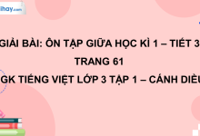 Ôn tập giữa học kì I - Tiết 3 trang 61 SGK Tiếng Việt 3 tập 1 Cánh diều>