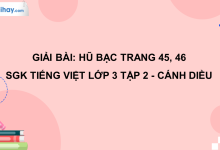Rừng gỗ quý trang 45, 46 SGK Tiếng Việt 3 tập 2 Cánh diều>