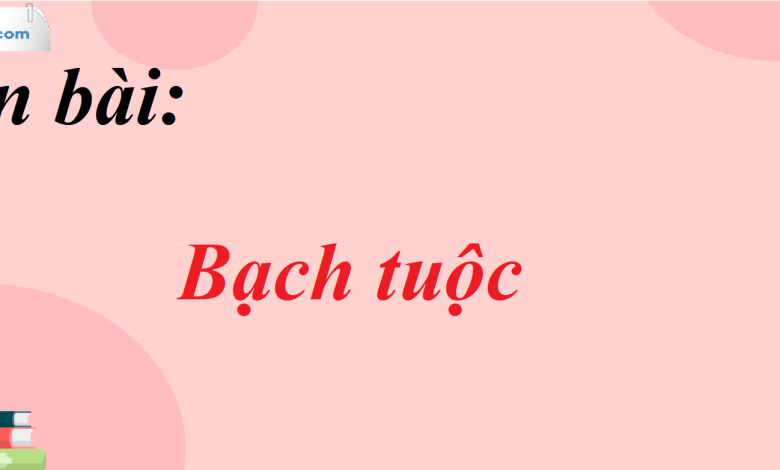 Soạn bài Bạch tuộc SGK Ngữ Văn 7 tập 1 Cánh diều - siêu ngắn>