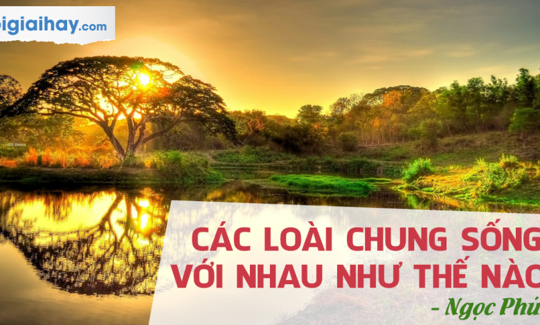 Soạn bài Các loài chung sống với nhau như thế nào? SGK Ngữ văn 6 tập 2 Kết nối tri thức với cuộc sống siêu ngắn>