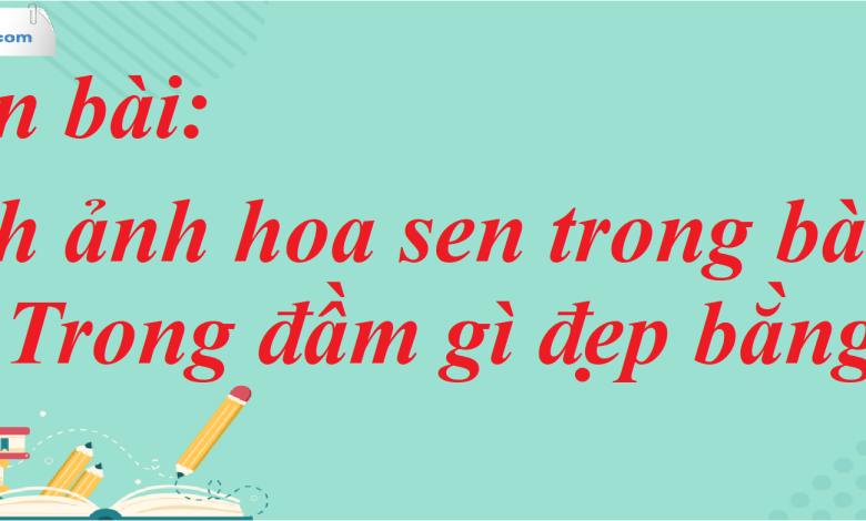 Soạn bài Hình ảnh hoa sen trong bài ca dao Trong đầm gì đẹp bằng sen SGK Ngữ Văn 7 tập 1 Chân trời sáng tạo - siêu ngắn>