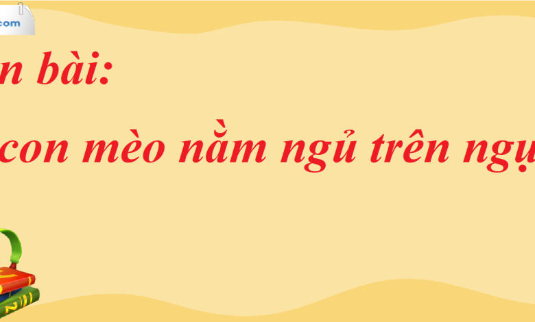 Soạn bài Một con mèo nằm ngủ trên ngực tôi SGK Ngữ Văn 7 tập 2 Chân trời sáng tạo - siêu ngắn>