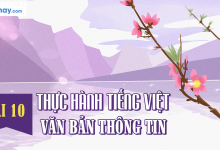 Soạn bài Thực hành Tiếng Việt bài 10 SGK Ngữ văn 6 tập 2 Cánh diều siêu ngắn>