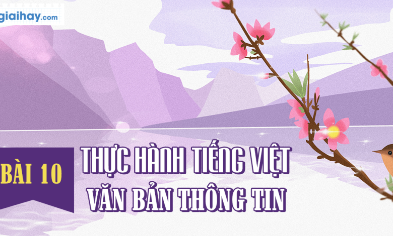 Soạn bài Thực hành Tiếng Việt bài 10 SGK Ngữ văn 6 tập 2 Cánh diều siêu ngắn>