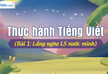 Soạn bài Thực hành Tiếng Việt bài 1SGK Ngữ văn 6 tập 1 Chân trời sáng tạo siêu ngắn>
