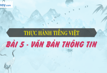 Soạn bài Thực hành Tiếng Việt bài 5 SGK Ngữ văn 6 tập 1 Cánh diều siêu ngắn>