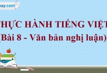 Soạn bài Thực hành Tiếng Việt bài 8 SGK Ngữ văn 6 tập 2 Cánh diều siêu ngắn>