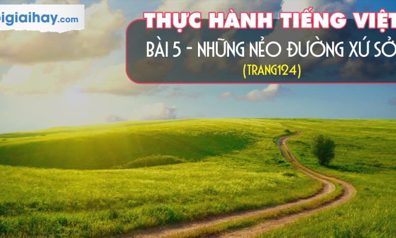 Soạn bài Thực hành Tiếng Việt trang 113 SGK Ngữ văn 6 tập 1 Kết nối tri thức với cuộc sống siêu ngắn>