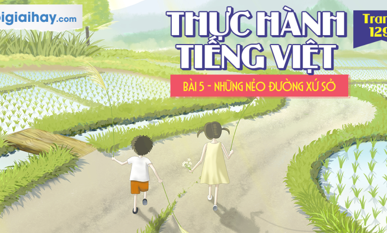 Soạn bài Thực hành Tiếng Việt trang 118 SGK Ngữ văn 6 tập 1 Kết nối tri thức với cuộc sống siêu ngắn>