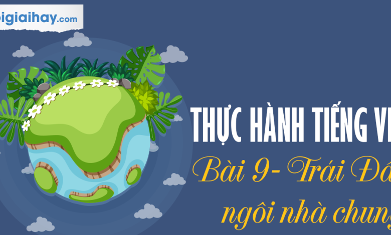 Soạn bài Thực hành Tiếng Việt trang 81 SGK Ngữ văn 6 tập 2 Kết nối tri thức với cuộc sống siêu ngắn>