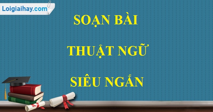 Soạn bài Thuật ngữ siêu ngắn>