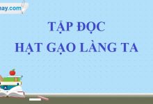 Soạn bài Hạt gạo làng ta trang 139 SGK Tiếng Việt 5 tập 1>