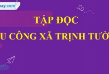 Soạn bài Ngu công xã Trịnh Tường trang 164 SGK Tiếng Việt 5 tập 1>