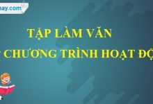 Tập làm văn: Lập chương trình hoạt động trang 23 SGK Tiếng Việt 5 tập 2>