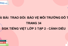 Trao đổi: Bảo vệ môi trường đô thị trang 34 SGK Tiếng Việt 3 tập 2 Cánh diều>